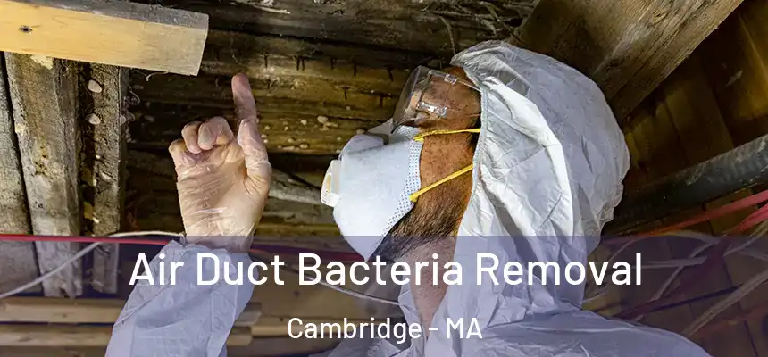  Air Duct Bacteria Removal Cambridge - MA