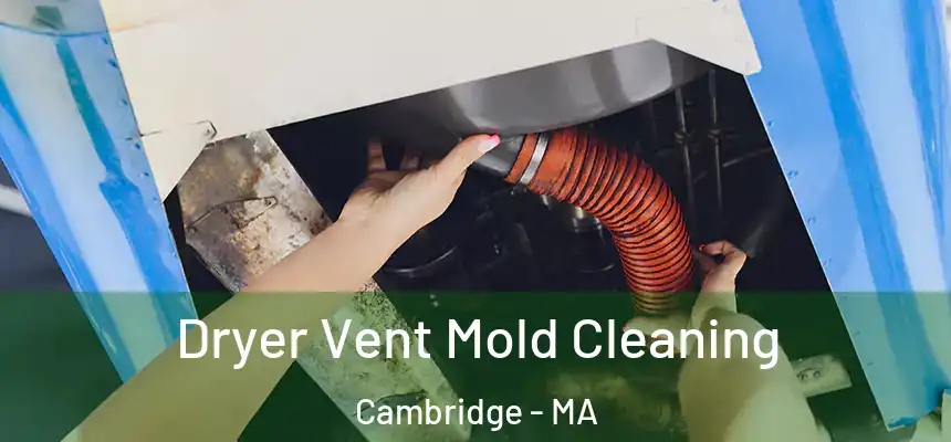  Dryer Vent Mold Cleaning Cambridge - MA