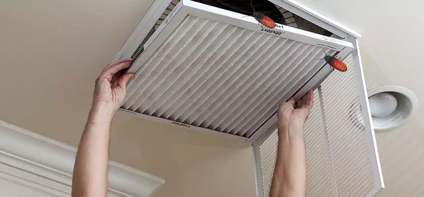 Preventive Cockroach-Proofing for Ducts in Cambridge