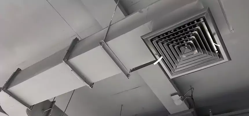 Restorative Allergy Relief Vent Cleaning – Coil, Blower & Housing Detail in Cambridge