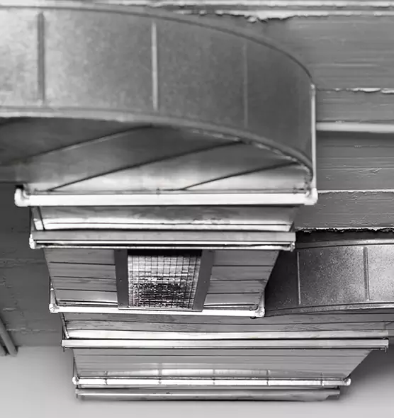 Professional Air Duct Pest Removal in Cambridge, MA