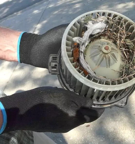 About Air Duct Rat Removal in Cambridge, MA