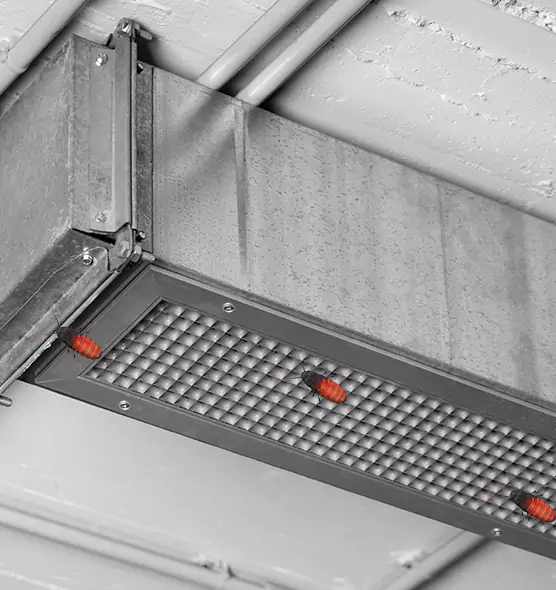 Affordable Insect Removal from Air Ducts in Cambridge, MA