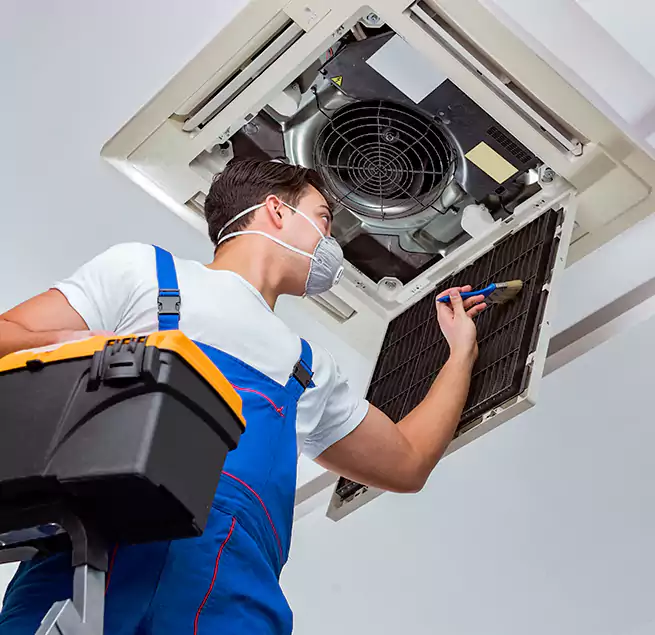 Why Homeowners & Businesses Trust Us in Cambridge, MA