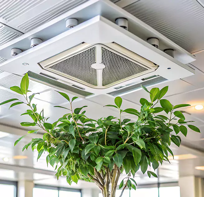 Why Homeowners & Businesses Trust Us in Cambridge, MA