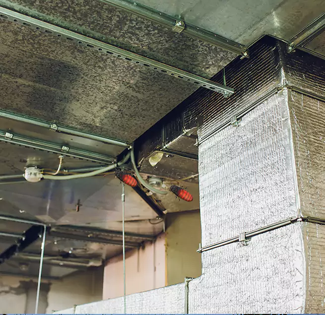 Why Homeowners & Businesses Trust Us Cambridge, MA?