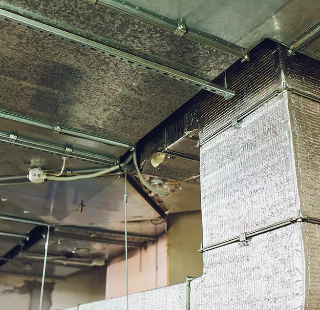 Why Homeowners & Businesses Trust Us in Cambridge, MA?